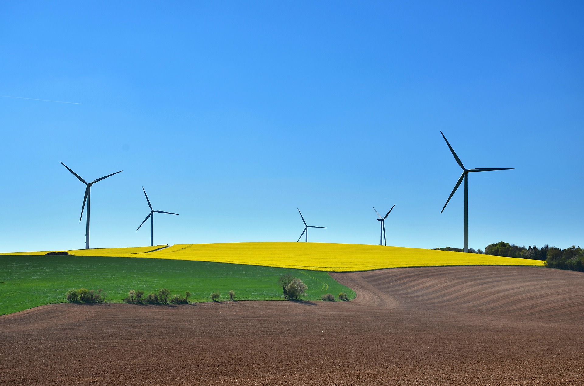 Energy wind turbines fields