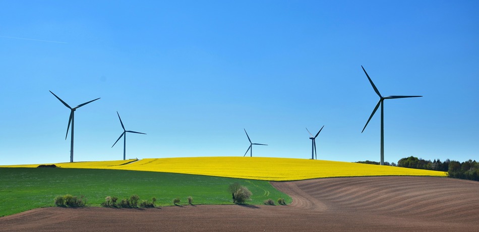 Energy wind turbines fields