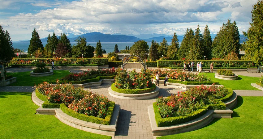 UBC Rose Garden. Photo By Martin Dee