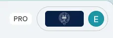 PRO label next to User details